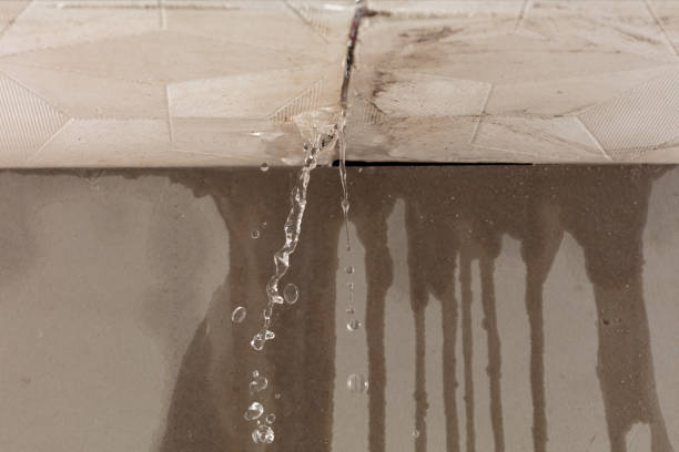 Professional Water Damage Inspection technician working in Morris Plains, NJ